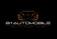 Logo B1-Automobile
